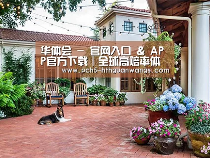 客户案例标题九