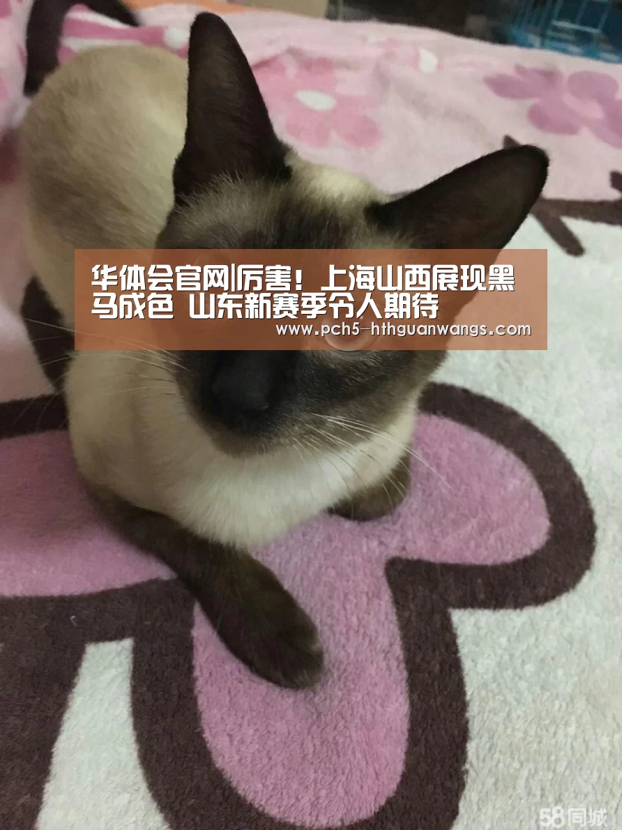 华体会体育