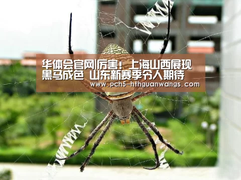 华体会网站