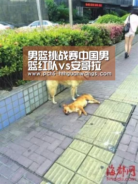 男篮挑战赛中国男篮红队vs安哥拉男篮全场比赛视频录像回放【华体会官方】(图1) 华体会