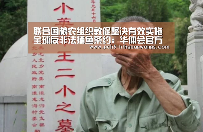联合国粮农组织敦促坚决有效实施全球反非法捕鱼条约:华体会官方(图1) 华体会官网