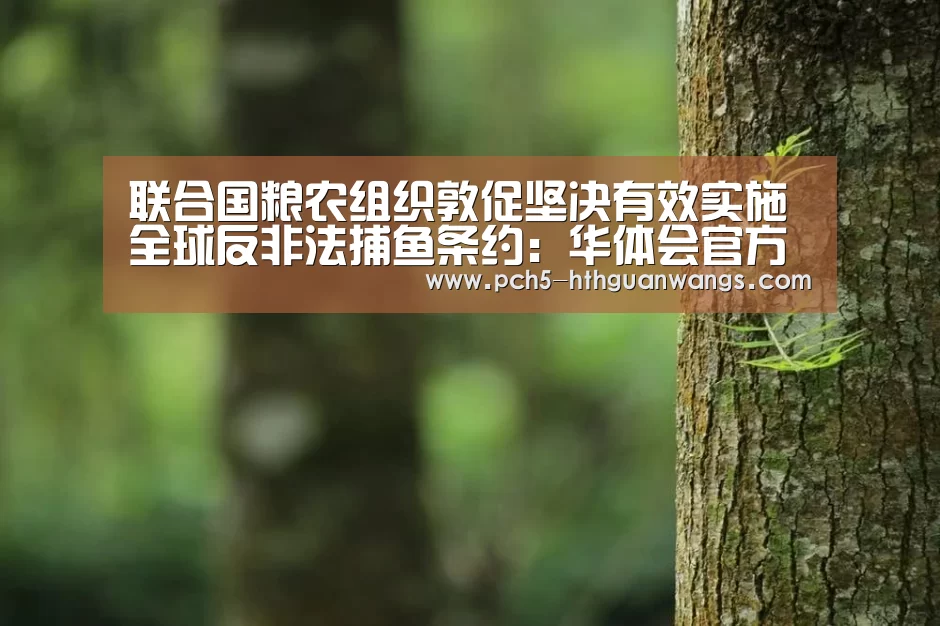 联合国粮农组织敦促坚决有效实施全球反非法捕鱼条约:华体会官方(图3) 华体会体育